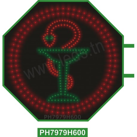 KDC Hex 79 sigle vide 2 Contour vert